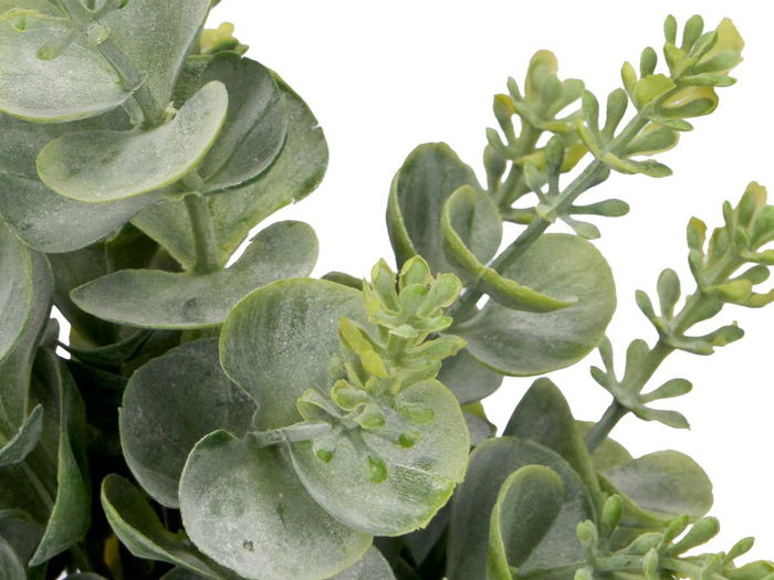 Ibergarden Maceta Cilindro Hojas Verde Plástico Cemento 10x18x10 cm (Set de 36)