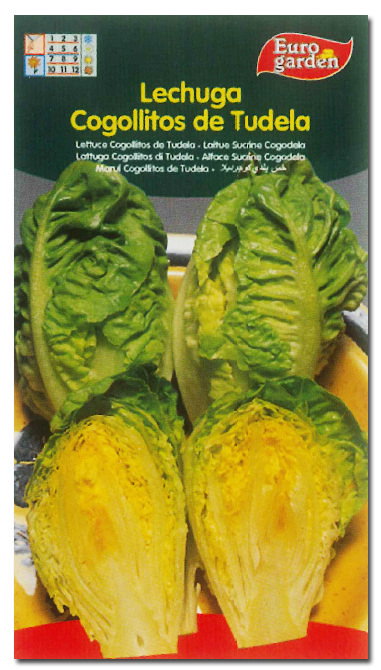 Fito Semillas de Lechuga Cogollitos de Tudela Fito Semillas de Lechuga Cogollitos de Tudela