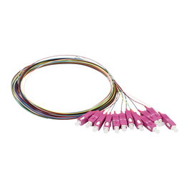 Synergy21 Pack de 12 Cables de Fibra Óptica OM4 50/125u, 2m, Synergy 21
