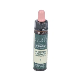 Artesanía Chestnut Bud Flores de Bach N.º 07 10 ml - Elixir Floral Ecológico