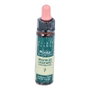 PLANTIS Chestnut Bud Flores de Bach Nº 07 10ml