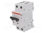 ABB S202-C63 Interruptor magnetotérmico 2 polos 63A 6kA