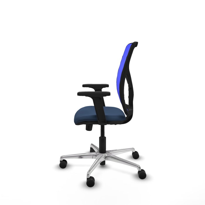 PIQUERAS Y CRESPO Silla de oficina Motilla con mecanismo Sincro/Traslack, Azul marino y Azul PIQUERAS Y CRESPO Silla de oficina Motilla con mecanismo Sincro/Traslack, Azul marino y Azul