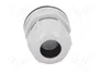 Lapp SKINTOP 53112687 M20 Gris, Pack de 25 unidades