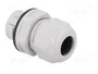 Lapp SKINTOP 53112687 M20 Gris, Pack de 25 unidades