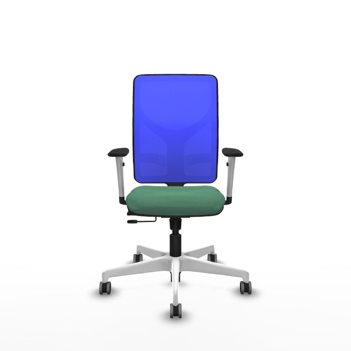 PIQUERAS Y CRESPO Silla de oficina Motilla con mecanismo Sincro/Traslack, Verde esmeralda y Azul PIQUERAS Y CRESPO Silla de oficina Motilla con mecanismo Sincro/Traslack, Verde esmeralda y Azul