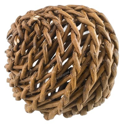 Ferplast PA 4780 Ball in Willow Vet