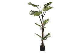 DKD Home Decor Planta Monstera Verde 60x60x170 cm