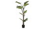 DKD Home Decor Planta Monstera Verde 60x60x170 cm