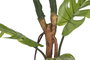 DKD Home Decor Planta Monstera Verde 60x60x170 cm