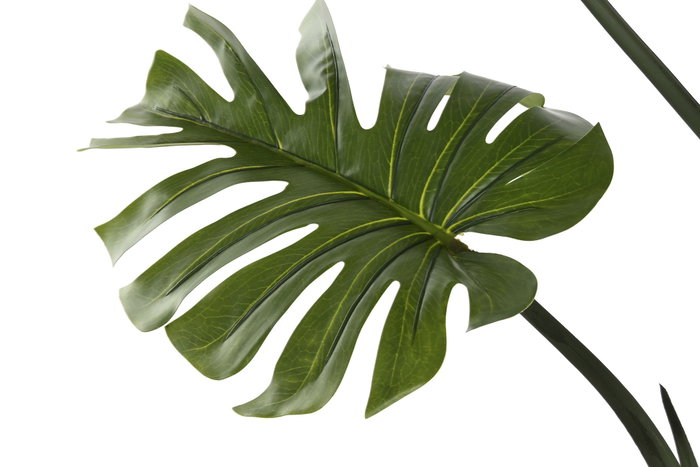 DKD Home Decor Planta Monstera Verde 60x60x170 cm