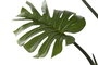 DKD Home Decor Planta Monstera Verde 60x60x170 cm
