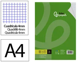 Liderpapel Recambio A4 100 Hojas 75gr Cuadro 4mm con Margen sin Taladros Din A4
