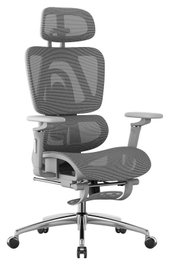 Mark Adler Expert 7.9 Grey