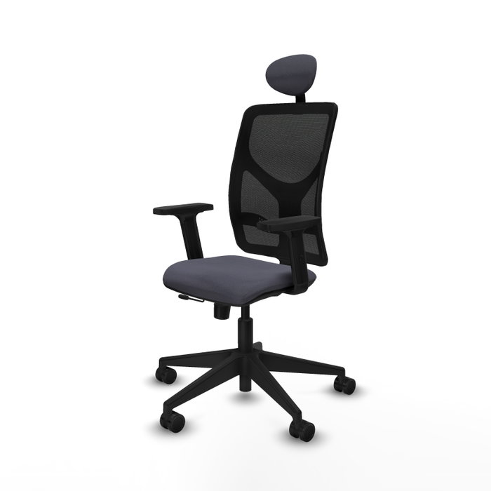 PIQUERAS Y CRESPO Silla de oficina Motilla con mecanismo Sincro/Traslack, Gris oscuro y Negro PIQUERAS Y CRESPO Silla de oficina Motilla con mecanismo Sincro/Traslack, Gris oscuro y Negro