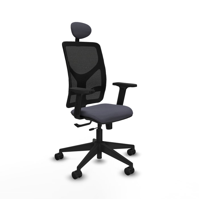 PIQUERAS Y CRESPO Silla de oficina Motilla con mecanismo Sincro/Traslack, Gris oscuro y Negro PIQUERAS Y CRESPO Silla de oficina Motilla con mecanismo Sincro/Traslack, Gris oscuro y Negro