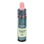 PLANTIS GENTIAN PLANTIS flores de bach Nº 12 10ml