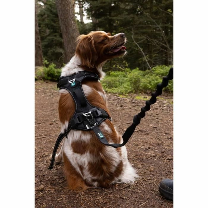 Cani C Gear Arnés SYMBIOZ XXS Negro / Azul Cani C Gear Arnés SYMBIOZ XXS Negro / Azul