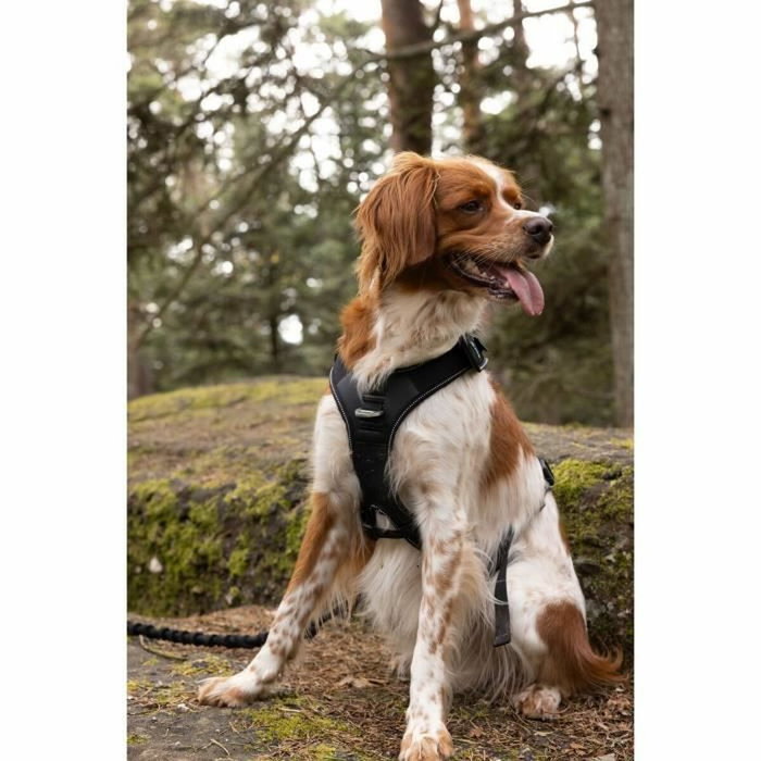 Cani C Gear Arnés SYMBIOZ XXS Negro / Azul Cani C Gear Arnés SYMBIOZ XXS Negro / Azul