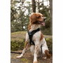 Cani C Gear Arnés SYMBIOZ XXS Negro / Azul