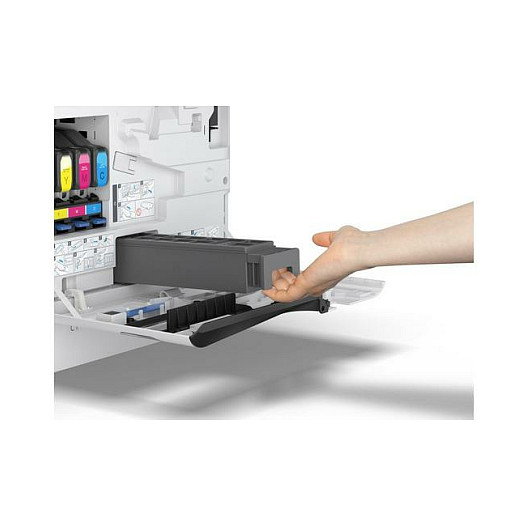 Epson C12C937201 Maintenance Box para AM-C400/550, Gris
