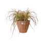 Elho Jardinera Redonda Vibia Campana 55 Marrón Ø 55 x H 47 cm exterior 100% reciclado
