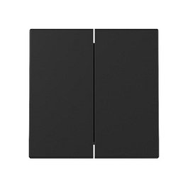 GIRA 3295005 Wippe 2f System 55 Schwarz Placa Frontal Mate