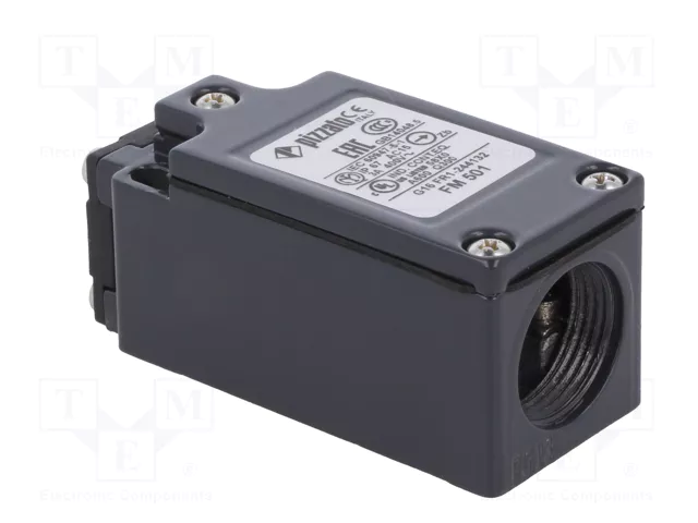 PIZZATO ELETTRICA Interruptor de fin de carrera FM 501 con espárrago de Ø8mm