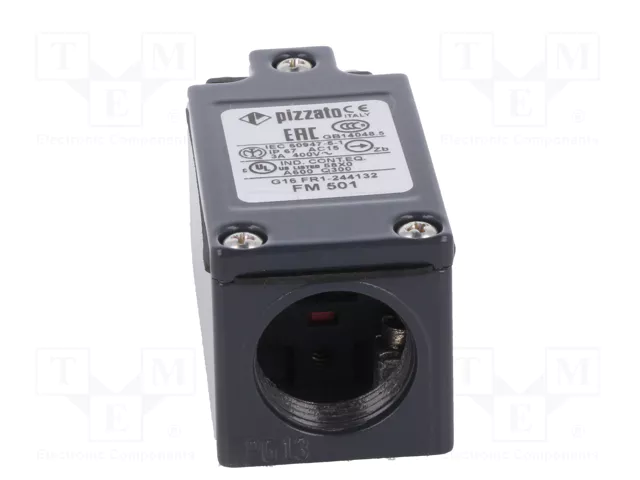 PIZZATO ELETTRICA Interruptor de fin de carrera FM 501 con espárrago de Ø8mm
