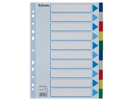 Esselte Separadores DIN A4 Polipropileno 1-10 Multitaladro con Cartulina Índice Color