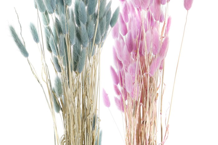 DKD Home Decor Ramo de Flores Secas Surtido 4 Variedades