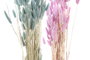 DKD Home Decor Ramo de Flores Secas Surtido 4 Variedades