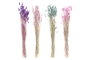DKD Home Decor Ramo de Flores Secas Surtido 4 Variedades