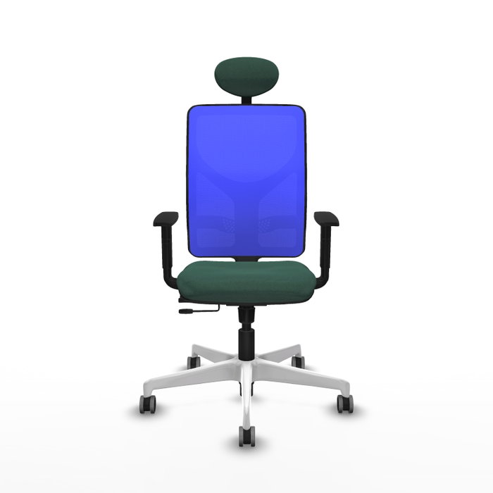 PIQUERAS Y CRESPO Silla de oficina Motilla con mecanismo Sincro/Traslack, Verde botella y Azul
