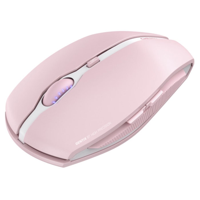 Cherry Gentix BT Cherry Blossom Rosa