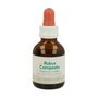 Forza Vitale Rubus Composto Extracto 50ml