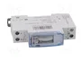 LEGRAND Programador de tiempo analógico SPDT 250VAC/16A