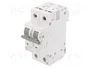 ETI POLAM Interruptor magnetotérmico ETIMAT 6 1P+N 16A B