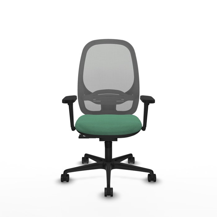 PIQUERAS Y CRESPO Silla de oficina Cilanco con mecanismo Sincro, Verde esmeralda y Gris PIQUERAS Y CRESPO Silla de oficina Cilanco con mecanismo Sincro, Verde esmeralda y Gris