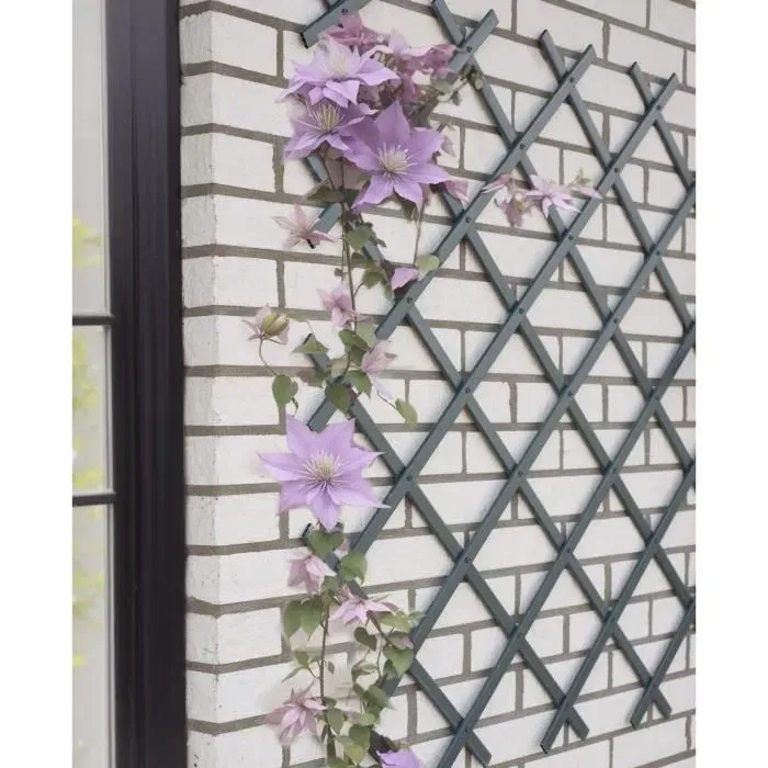 Nature NAT8711338407134 Enrejado Extensible de Plástico Antracita 50 x 150 cm