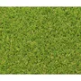 Exelgreen EXE3664881124377 Césped sintético CAMPUS 2D 1x5m Espesor 25mm