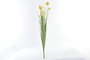 DKD Home Decor Rama Decorativa Amarillo Verde 100 x 12 x 12 cm (12 Unidades) PE