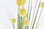 DKD Home Decor Rama Decorativa Amarillo Verde 100 x 12 x 12 cm (12 Unidades) PE