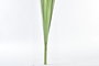 DKD Home Decor Rama Decorativa Amarillo Verde 100 x 12 x 12 cm (12 Unidades) PE