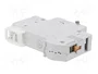 ETI POLAM Interruptor magnetotérmico ETIMAT 6 1P 50A 6kA