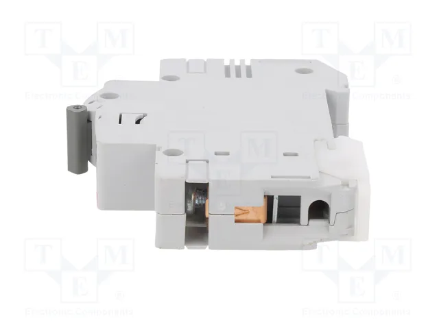 ETI POLAM Interruptor magnetotérmico ETIMAT 6 1P 50A 6kA