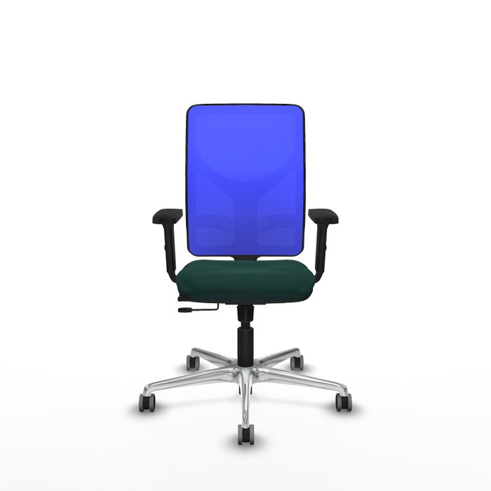 PIQUERAS Y CRESPO Silla de oficina Motilla con mecanismo Sincro/Traslack, Verde botella y Azul PIQUERAS Y CRESPO Silla de oficina Motilla con mecanismo Sincro/Traslack, Verde botella y Azul