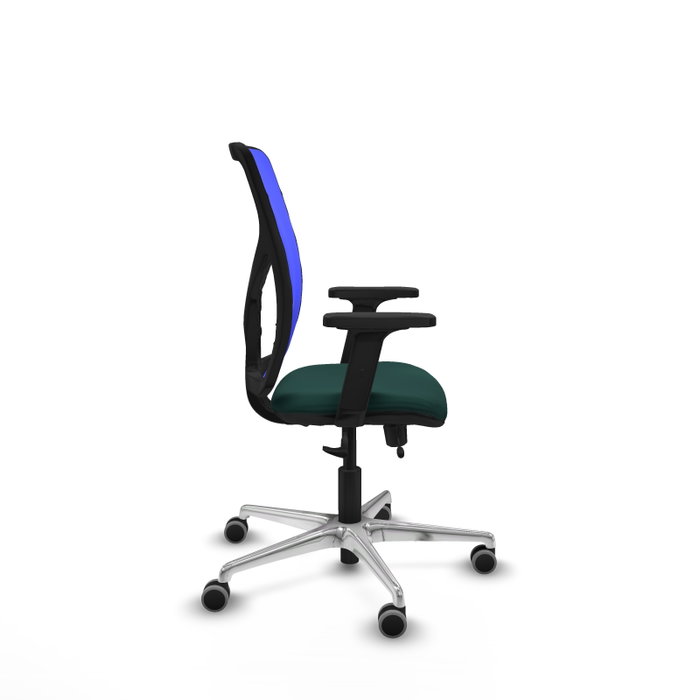 PIQUERAS Y CRESPO Silla de oficina Motilla con mecanismo Sincro/Traslack, Verde botella y Azul PIQUERAS Y CRESPO Silla de oficina Motilla con mecanismo Sincro/Traslack, Verde botella y Azul