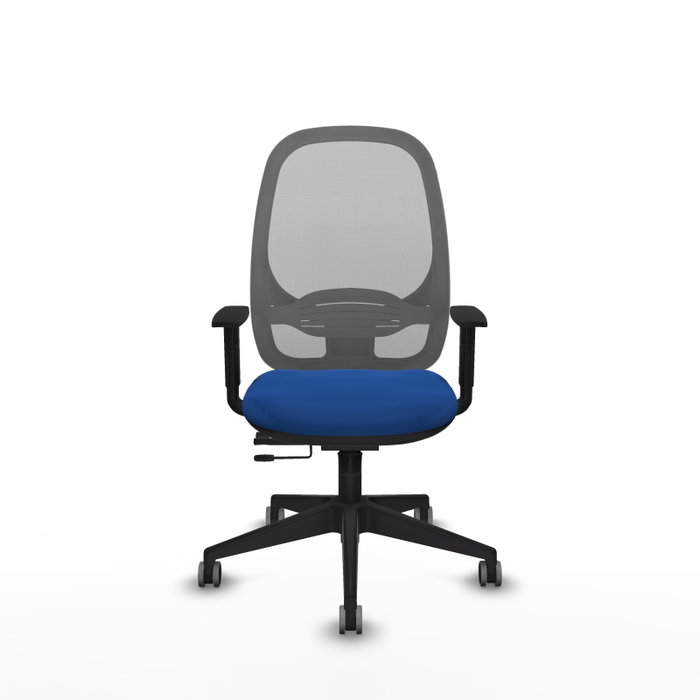 PIQUERAS Y CRESPO Silla de oficina Cilanco con mecanismo Sincro/Traslack Azul y Gris PIQUERAS Y CRESPO Silla de oficina Cilanco con mecanismo Sincro/Traslack Azul y Gris