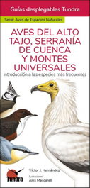 Tundra, AVES DEL ALTO TAJO, SERRANIA DE CUENCA Y MONTES UNIVERSALES - GUIAS DESPLEGABLES